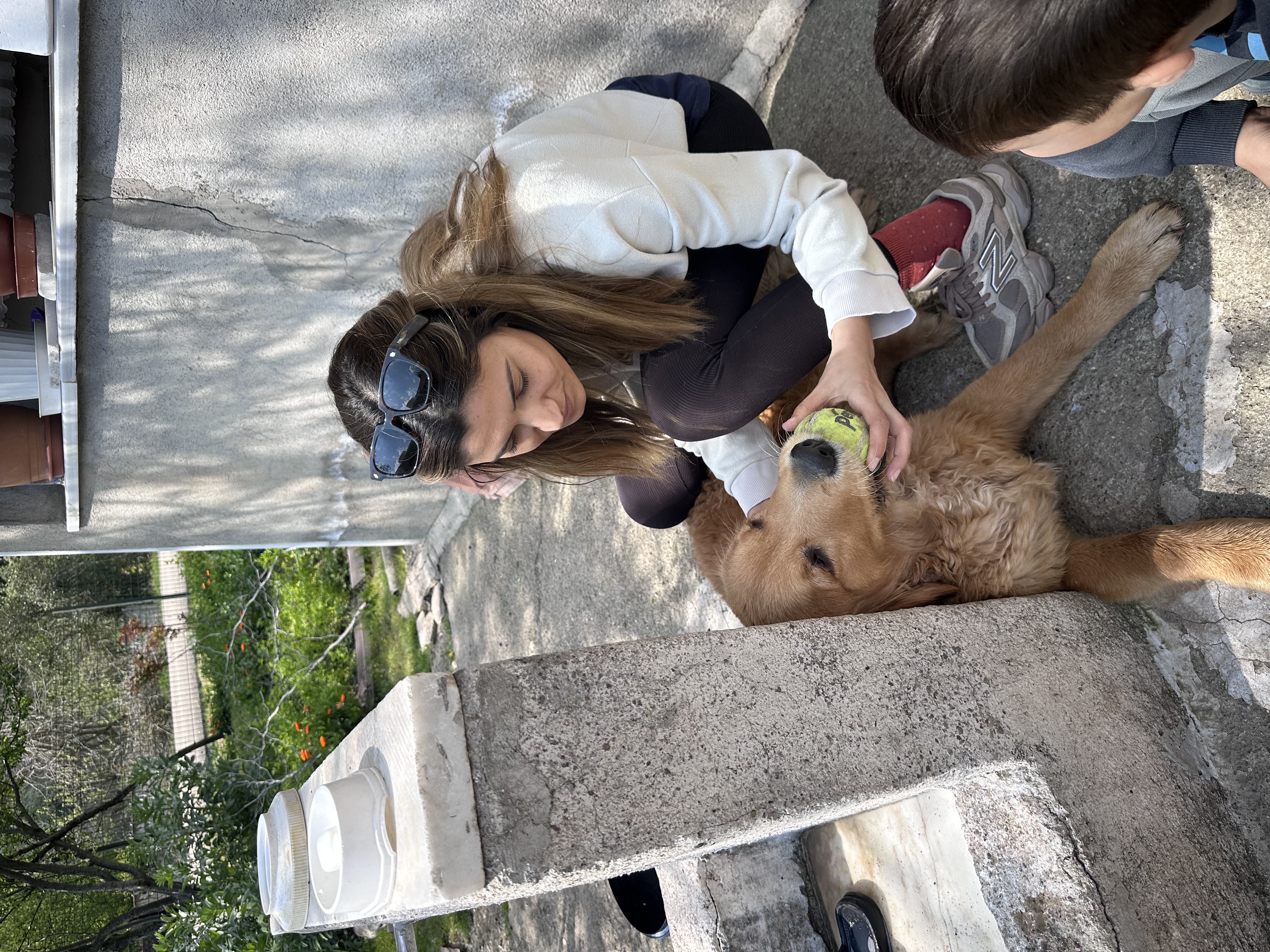 db Veteriner Fotoğraf