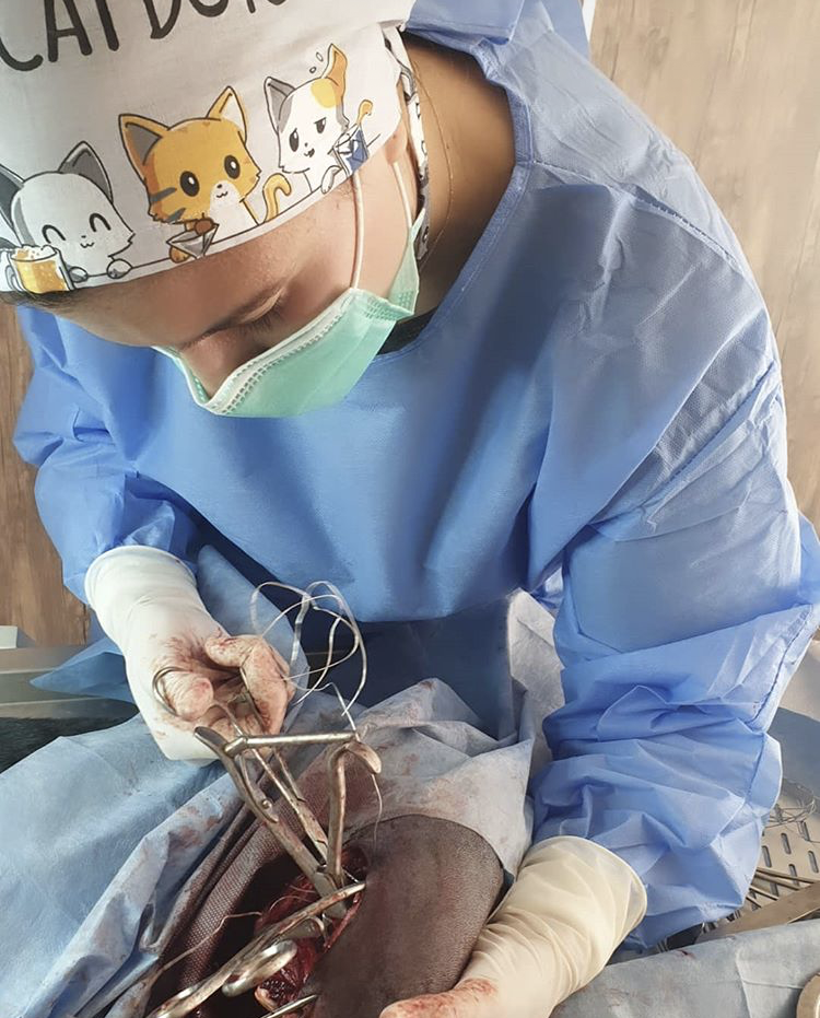 db Veteriner Fotoğraf