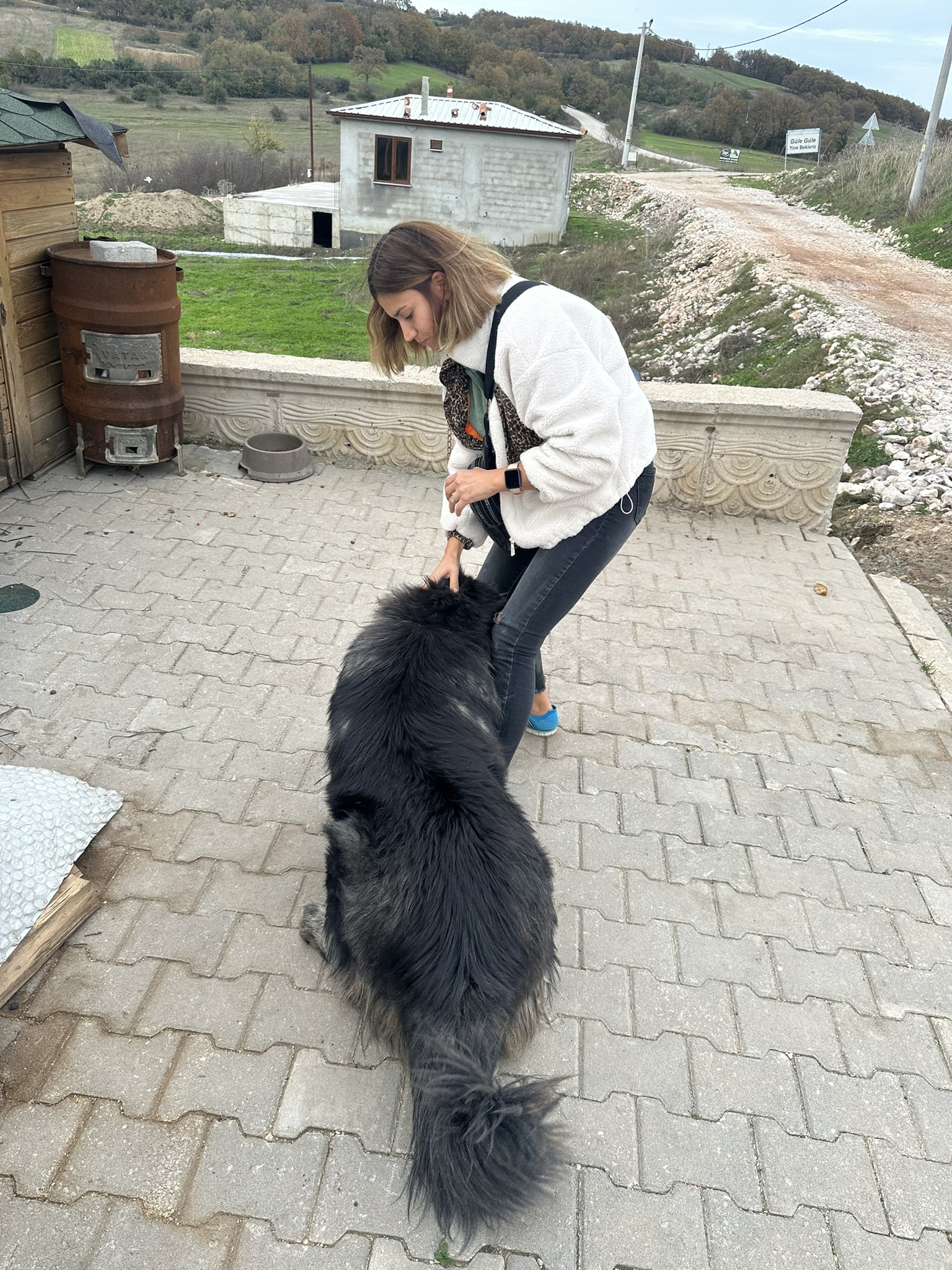 db Veteriner Fotoğraf