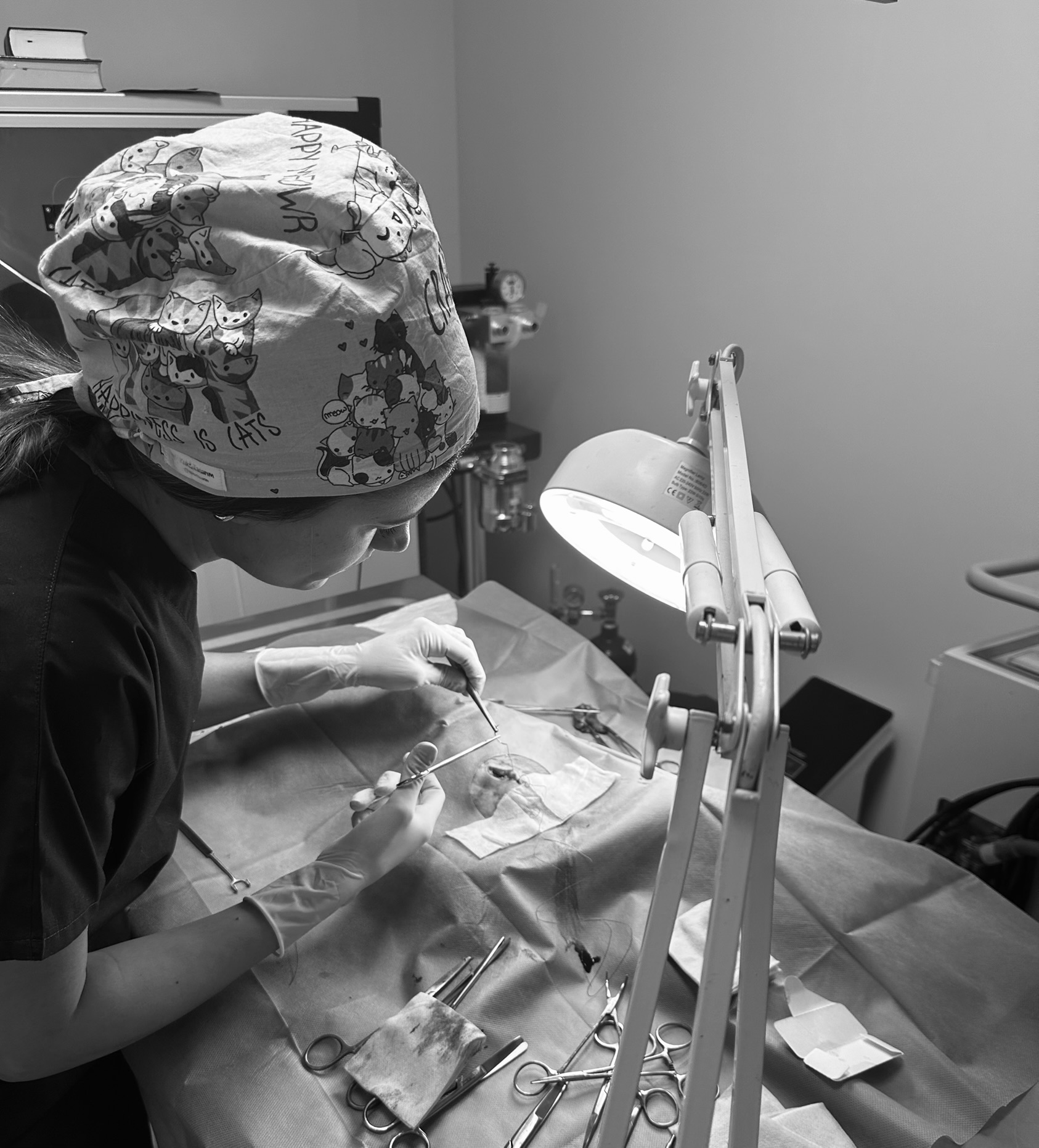 db Veteriner Fotoğraf