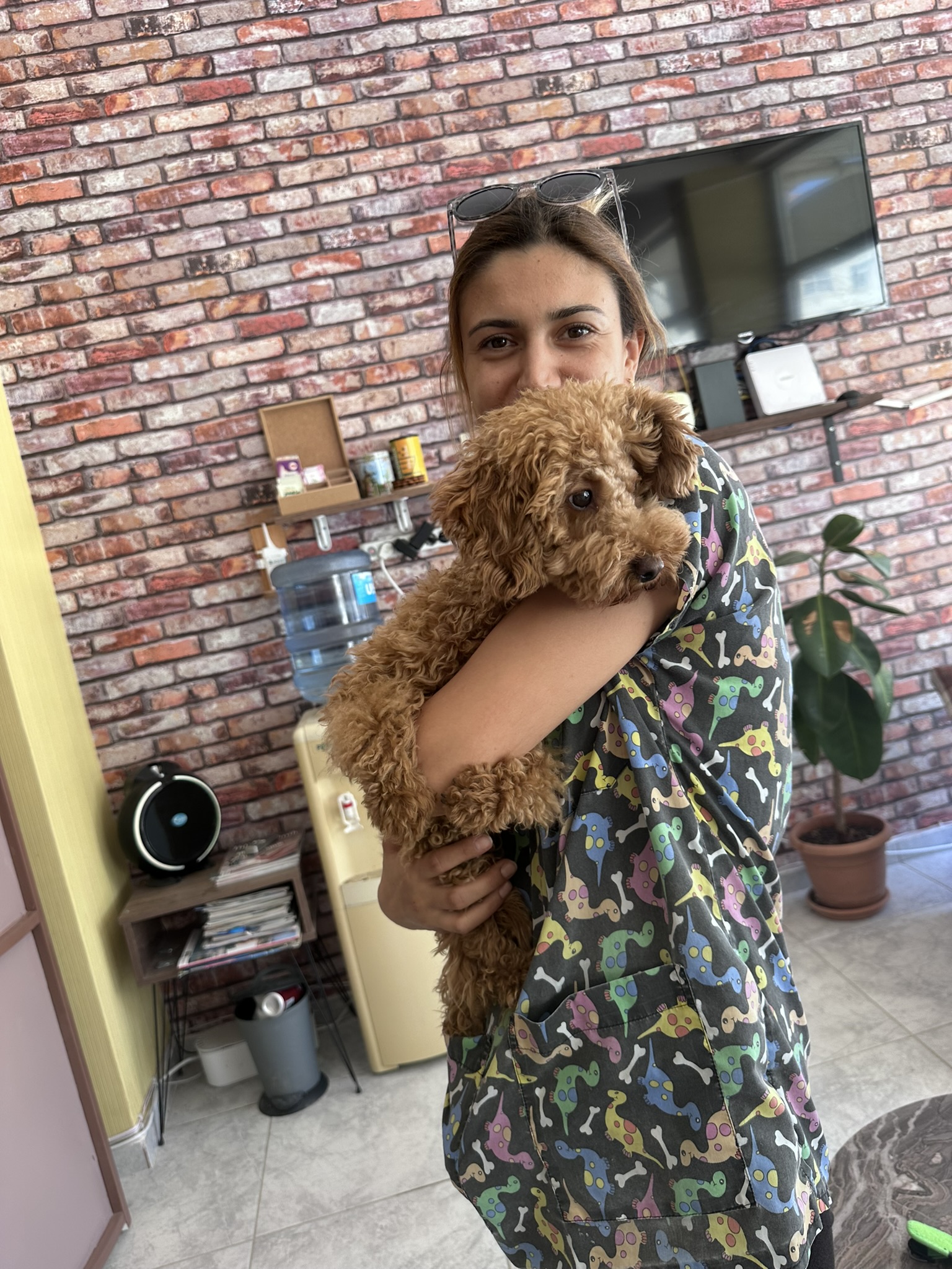 db Veteriner Fotoğraf